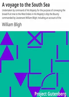 A Voyage To The South Sea