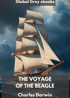 The Voyage Of The Beagle