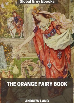 The Orange Fairy Book