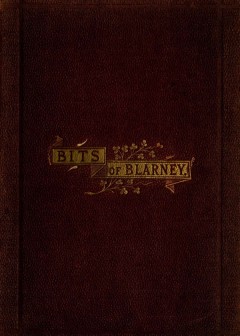Bits Of Blarney