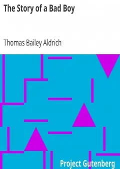 The Story Of A Bad Boy