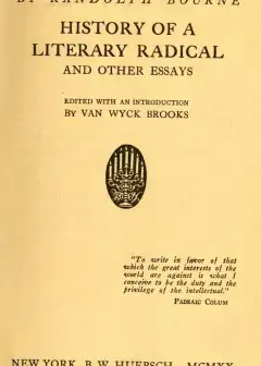 History Of A Literary Radical, And Other Essays