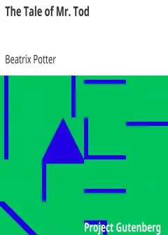 The Tale Of Mr. Tod