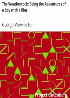 The Weathercock. Being The Adventures Of A Boy With A Bias