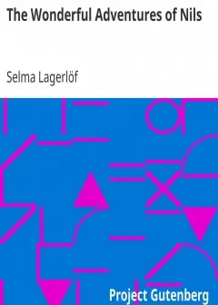 The Wonderful Adventures Of Nils