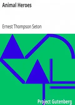 Animal Heroes