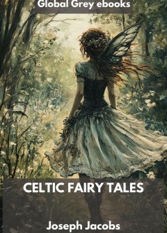 Celtic Fairy Tales