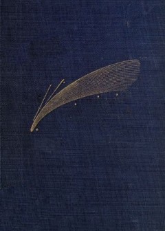 Astronomical Curiosities. Facts And Fallacies