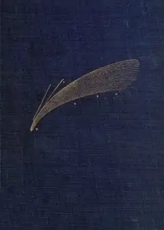 Astronomical Curiosities. Facts And Fallacies