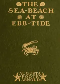 The Sea-Beach At Ebb-Tide . A Guide To The Study Of The Seaweeds And The Lower Animal Life