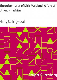 The Adventures Of Dick Maitland. A Tale Of Unknown Africa