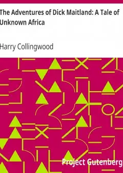 The Adventures Of Dick Maitland. A Tale Of Unknown Africa