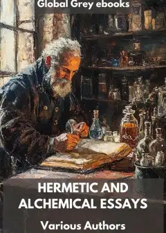 Hermetic And Alchemical Essays