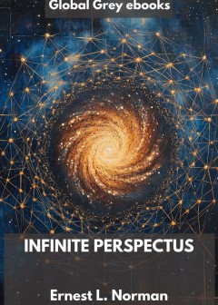 Infinite Perspectus