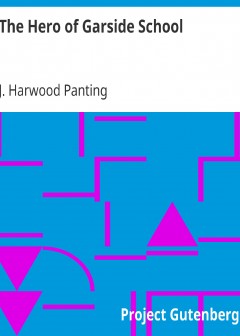 The Hero Of Garside School