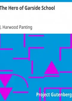 The Hero Of Garside School