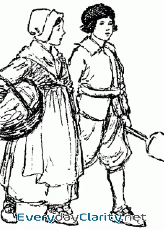 Book cover image The Puritan Twins