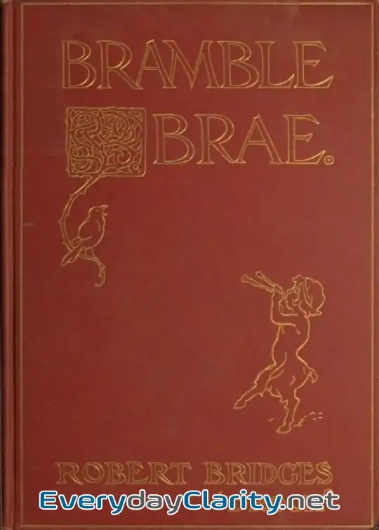 Book cover image Bramble Brae