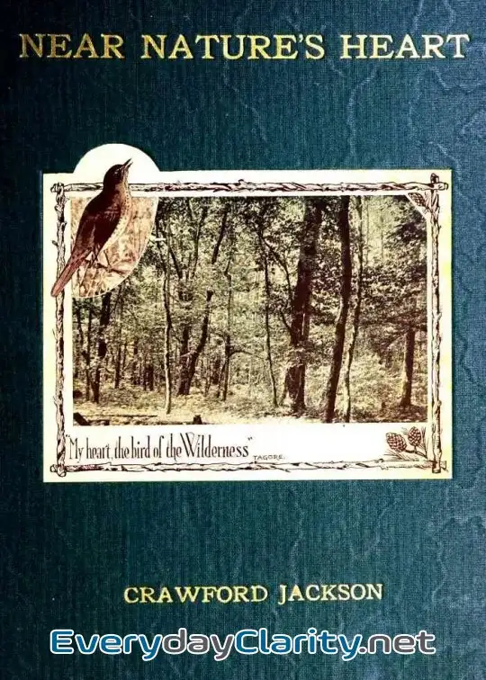 Book cover: Near Nature’s Heart; A Volume Of Verse