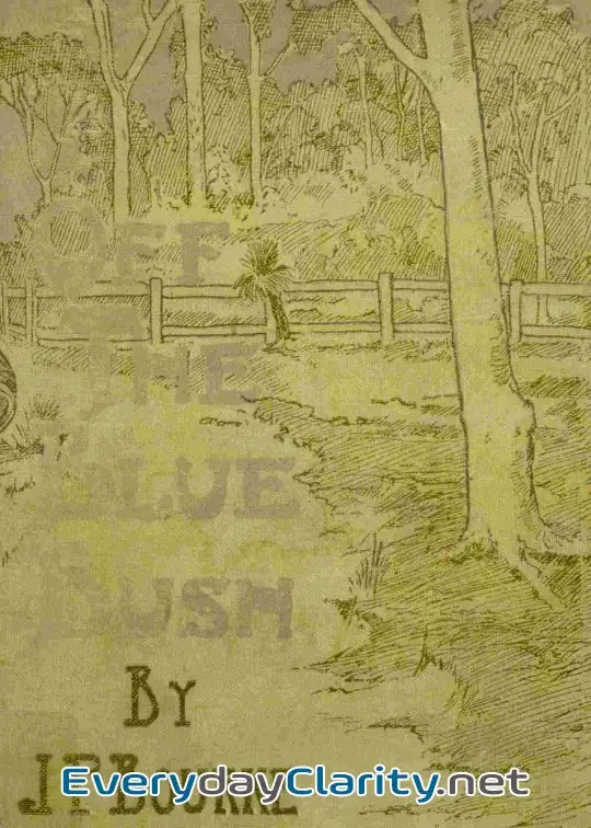 Book cover: Off The Bluebush