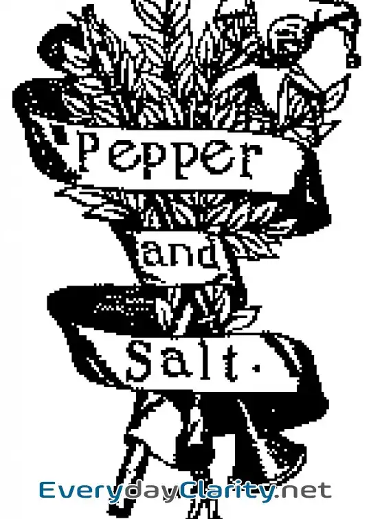 Book cover: Pepper & Salt; Or, Seasoning For Young Folk