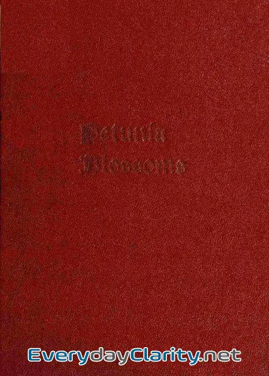 Book cover: Petunia Blossoms. Ballads And Poems