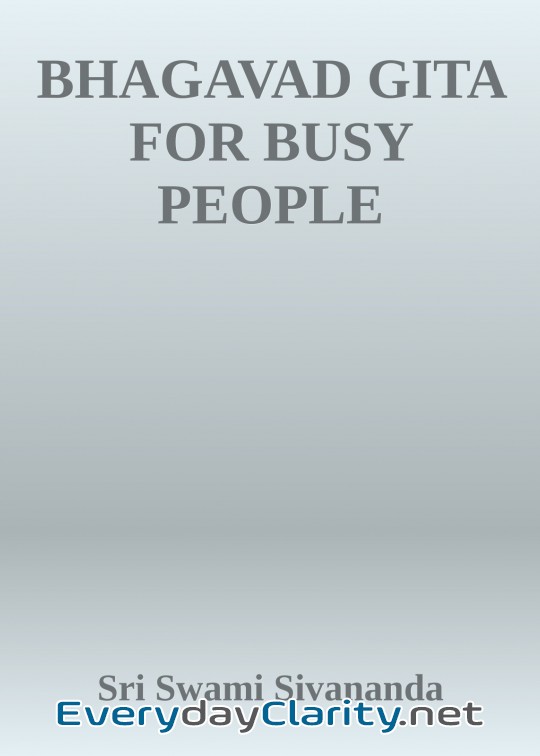Book cover: Bhaga V Ad Gita For Busy People