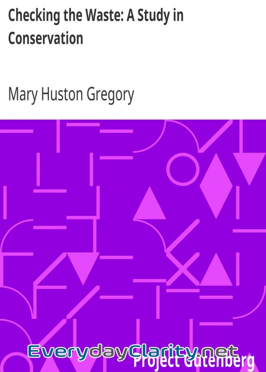 Book cover: Checking The Waste. A Study In Conservation