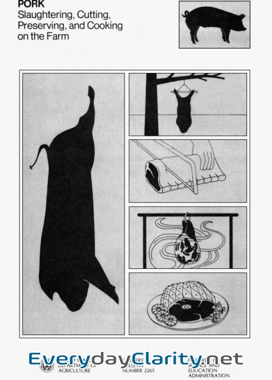 Book cover: Pork Slaughtering, Cutting, Preserving, And Cooking On The Farm