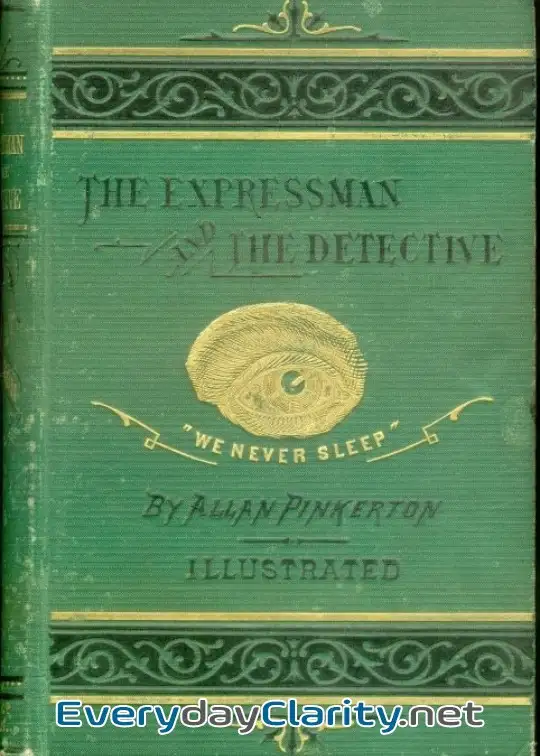 Book cover image The Expressman And The Detective