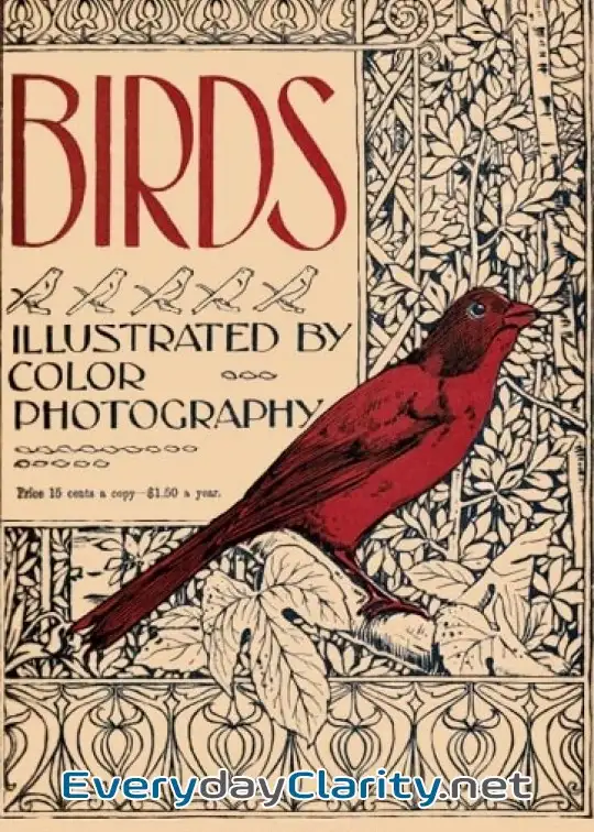 Book cover image Birds, Illustrated By Color Photography, Vol. 1, No. 6 . June, 1897