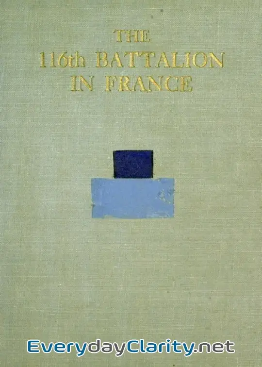 Book cover image The 116Th Battalion In France