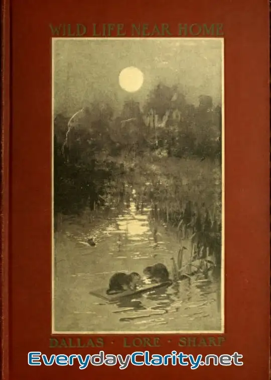 Book cover: Wild Life Near Home
