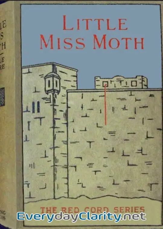 Book cover: Little Miss Moth