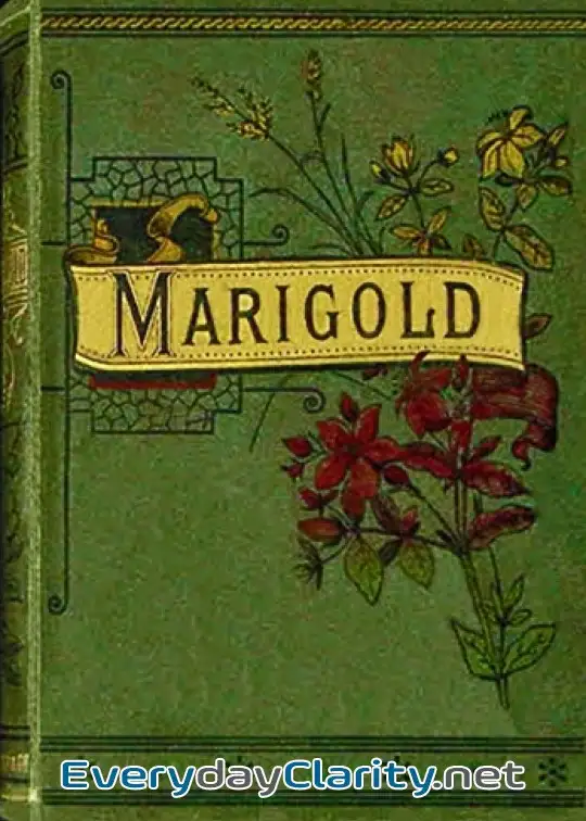 Book cover: Marigold’s Decision