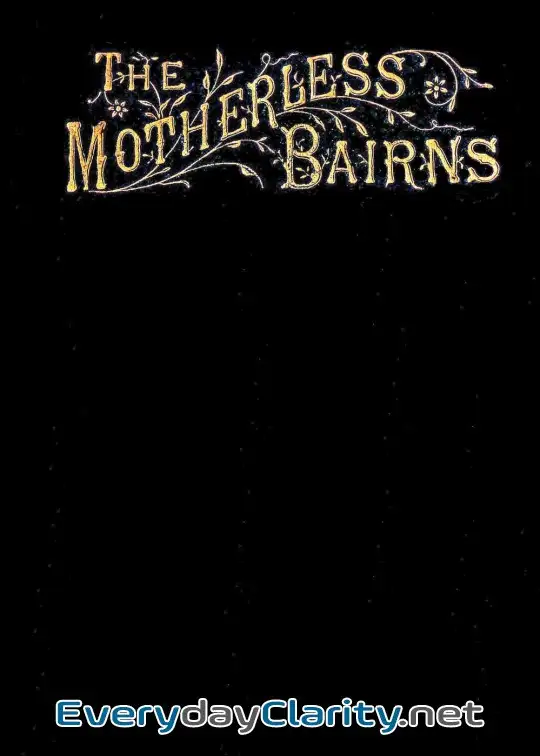 Book cover: The Motherless Bairns, And Who Sheltered Them