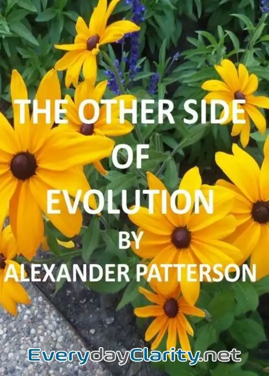 Book cover: The Other Side Of Evolution. Its Effects And Fallacy