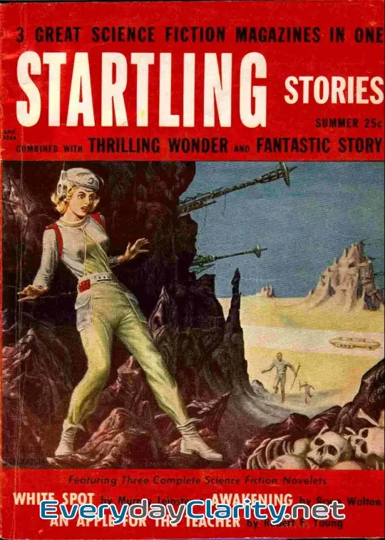 Book cover image The 13Th Juror