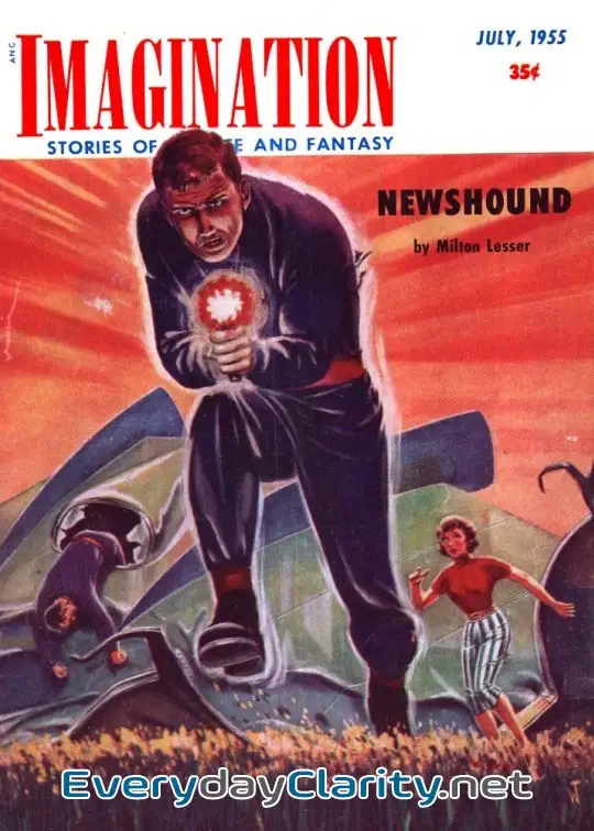 Book cover image Newshound