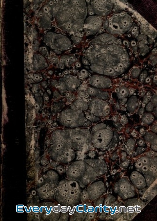 Book cover: Madonna Mary