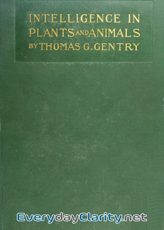 Book cover: Intelligence In Plants And Animals . Being A New Edition Of The Author’s Privately Issued