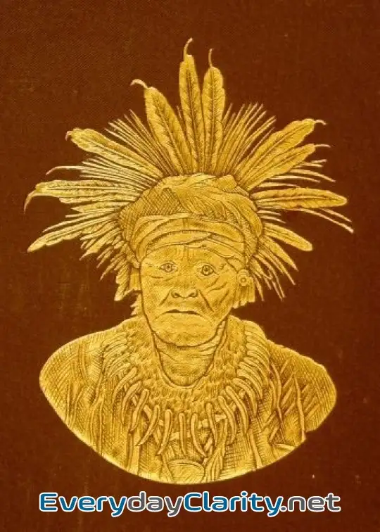 Book cover: Seventh Annual Report Of The Bureau Of Ethnology . To The Secretary Of The Smithsonian Ins