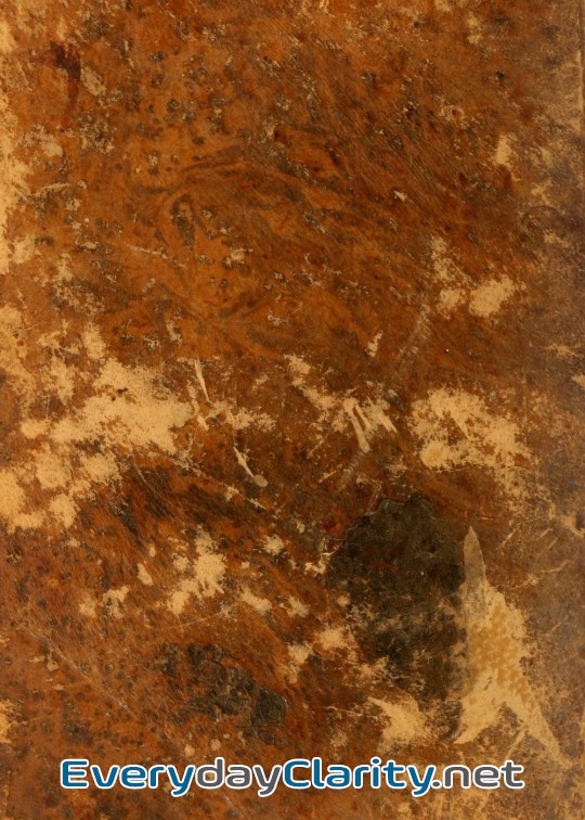 Book cover: A Treatise On Self-Knowledge . Shewing The Nature And Benefit Of That Important Science, A