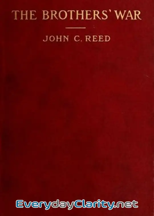 Book cover: The Brothers’ War