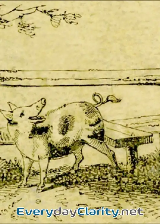 Book cover: The Remarkable Adventures Of An Old Woman And Her Pig . An Ancient Tale In A Modern Dress