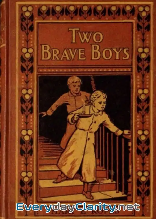 Book cover: Two Brave Boys, And, The Wrong Twin