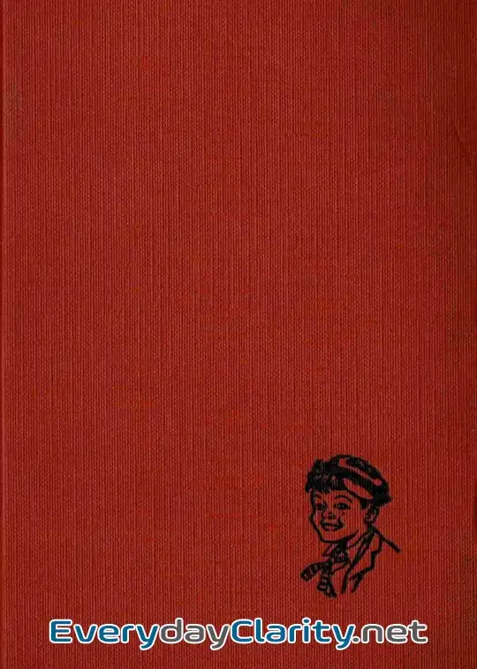 Book cover: William—The Outlaw