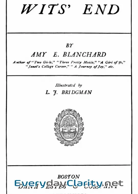 Book cover image Wits’ End