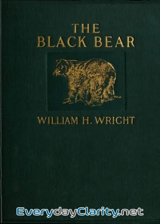 Book cover: The Black Bear