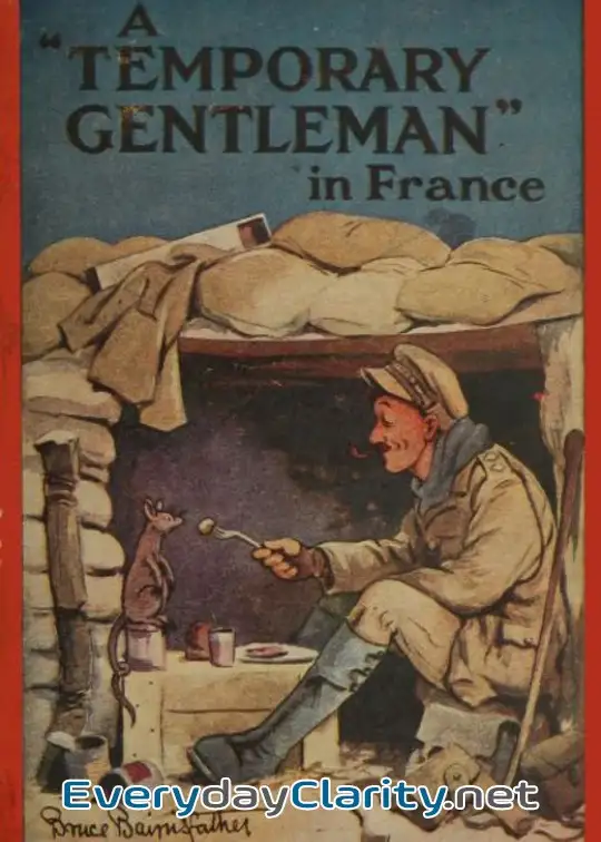 Book cover image A .temporary Gentleman. In France